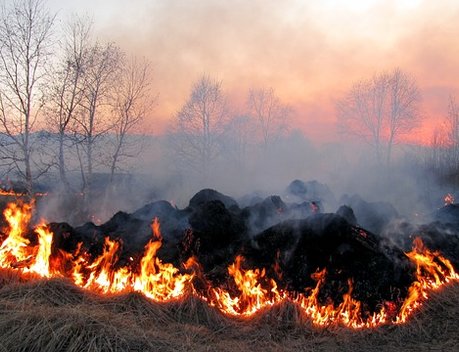 Минсельхоз предложил обязать владельцев земли тушить пожары