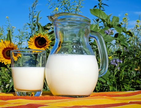 В Хабаровском крае растет производство молока