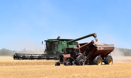 Урожайность зерновых в Вологодской области вдвое больше прошлогодней