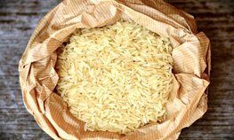 В Астраханской области прогнозируют рост урожая риса более чем на 15 %
