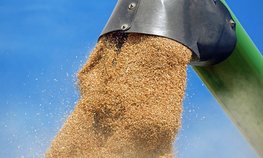 Объем перевозок зерна из РФ по территории Казахстана вырос на 24 % за 10 месяцев