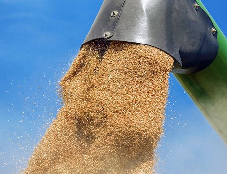 Объем перевозок зерна из РФ по территории Казахстана вырос на 24 % за 10 месяцев