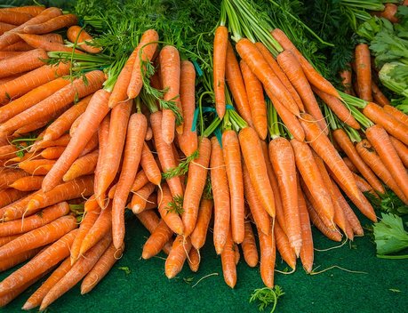 Таджикистан запретил экспорт лука, картофеля и моркови