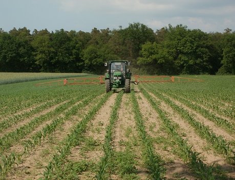 Чувашия планирует вовлечь в оборот 26 тыс. га необрабатываемых сельхозземель до конца 2025 года