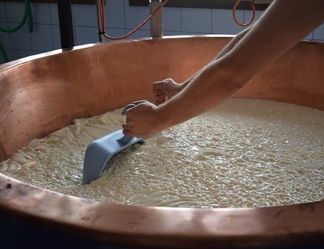 В Адыгее производство сыров увеличилось за 2022 год на 20 %