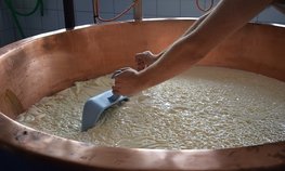 В Адыгее производство сыров увеличилось за 2022 год на 20 %