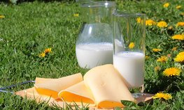 Минсельхоз заявил, что молочная отрасль в России сохраняет стабильность