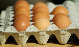 Производители курицы, молока и яиц в Приморье получили субсидии на сумму свыше 400 млн рублей