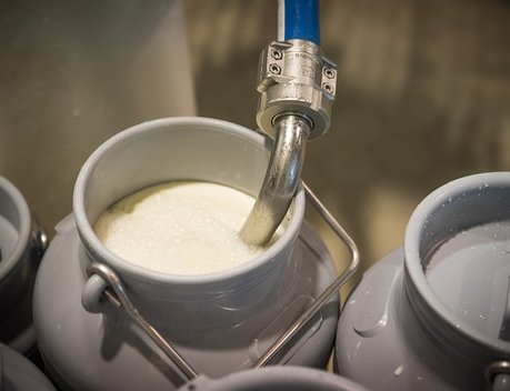 Производство молока в России за январь — март выросло на 3,7 %