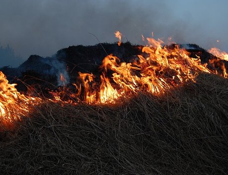 Президент НСА Корней Биждов: агростраховщики почти ежегодно возмещают застрахованным животноводам ущерб от пожаров