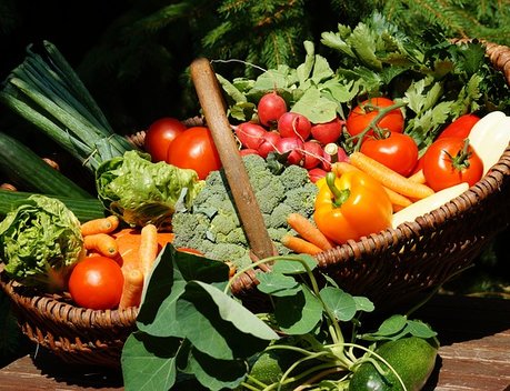 Участники программы «Агростартап» в Крыму вырастили более тысячи тонн зелени, овощей, картофеля, плодов и ягод в 2022 году