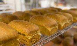 Ученые РГАУ-МСХА имени К. А. Тимирязева изобрели хлеб для лечебного питания