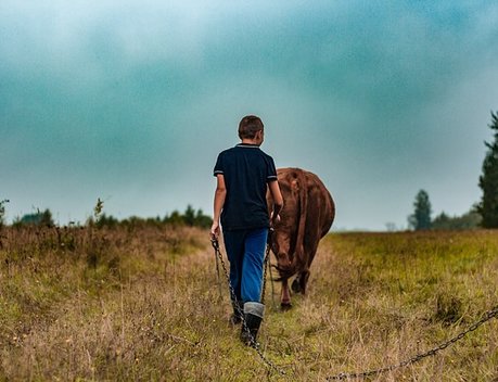 В Волгоградской области в 2023 году 24 начинающих фермера стали получателями гранта «Агростартап»