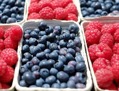 Производство плодов и ягод в России за пять лет увеличилось более чем в 2 раза