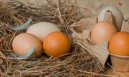 В Минсельхозе обсудили ситуацию на рынке мяса птицы и яиц