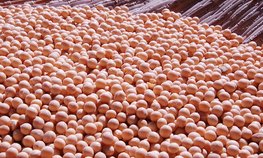 Правительство утвердило перечень сельхозпродукции, при экспорте которой допускается применение особого порядка расчетов