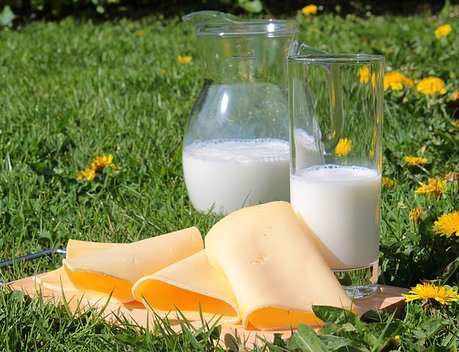 В России могут продлить отсрочку для фермеров по маркировке молочной продукции