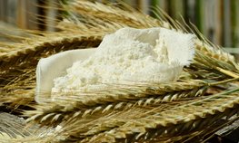 Ставропольские аграрии увеличили экспорт сельскохозяйственной продукции в Китай