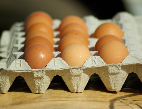 Правительство поддержало обнуление пошлин на поставки импортных яиц