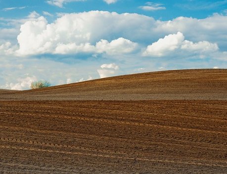 «РСХБ-Страхование» выплатило 14,8 млн рублей агропредприятию Ставропольского края в связи с утратой урожая озимой пшеницы