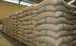 Распределено 2,14 млн тонн дополнительной части тарифных квот на экспорт зерновых