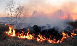 В Минсельхозе России обсудили вопросы противопожарной безопасности при проведении полевых работ