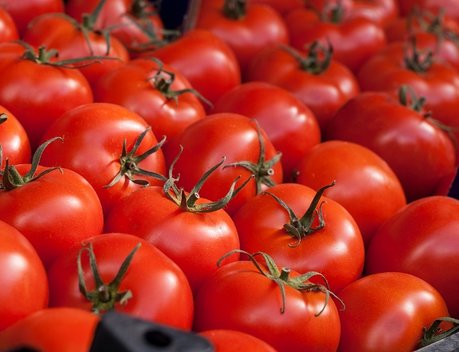 Распределена тарифная льгота на беспошлинный ввоз 100 тыс. тонн томатов