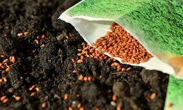 Аграрии Карелии получат субсидии на приобретение семян кормовых культур под посевную 2024 года