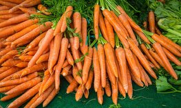 На Камчатку поступила первая партия свежих овощей напрямую из Китая