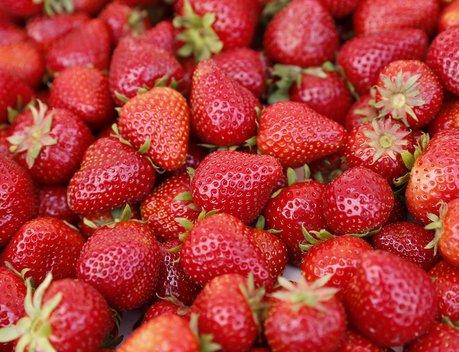 Патрушев: катастрофических последствий для урожая фруктов и ягод от заморозков не будет