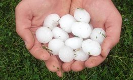 АО СК «РСХБ-Страхование» осуществило выплату за частично утраченный урожай в результате объявленного на Кубани штормового предупреждения