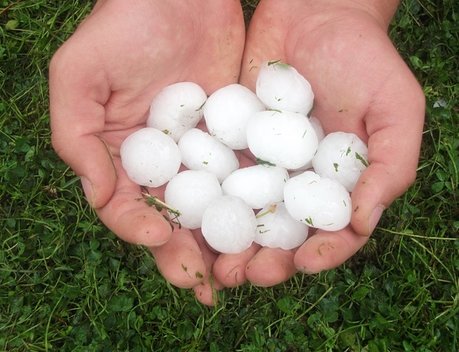 АО СК «РСХБ-Страхование» осуществило выплату за частично утраченный урожай в результате объявленного на Кубани штормового предупреждения