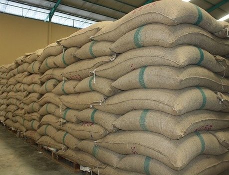 Японский эксперт заявил о ведущей роли РФ на мировом рынке пшеницы