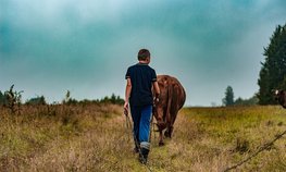 В Чувашии поддержат самозанятых, ведущих ЛПХ