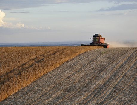 Машинно-тракторный парк липецких аграриев пополнился новой сельхозтехникой