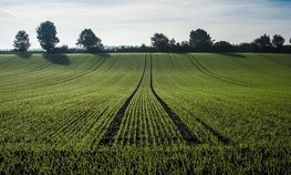 В Бурятии увеличат посевную площадь на 9,4 %