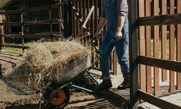 На всероссийском форуме фермеров обсудили инструменты повышения эффективности малого агробизнеса