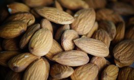 Главы аграрных ведомств России и Афганистана обсудили сотрудничество в сфере АПК