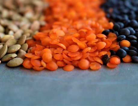 Россия и Пакистан укрепляют сотрудничество в сфере сельского хозяйства