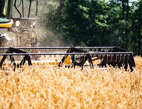 Предварительные итоги сезонных полевых работ обсудили на оперштабе в Правительстве России
