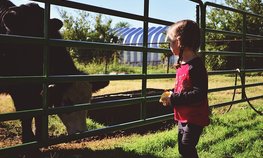 Город профессий АПК «Я в Агро» возвращается в «Тимирязев Центр»