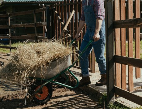 Более 60 участников и ветеранов СВО получили грант «Агромотиватор» в 2025 году