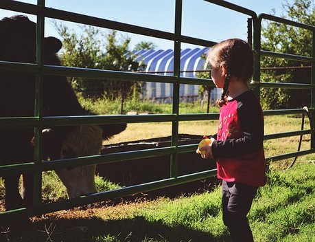 Город профессий АПК «Я в Агро» посетили свыше 13 тыс. человек