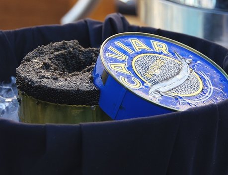 Оксана Лут приняла участие в открытии российской экспозиции на Международной выставке «Gulfood 2026»