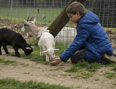 В Дагестане в 2026 году реализуют семь проектов по гранту «Агротуризм»