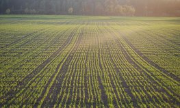 Мишустин поручил РСХБ усилить работу в период подготовки к полевым работам