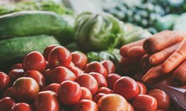 «Магнит» в 2025 году увеличил закупки у фермеров на 9 %