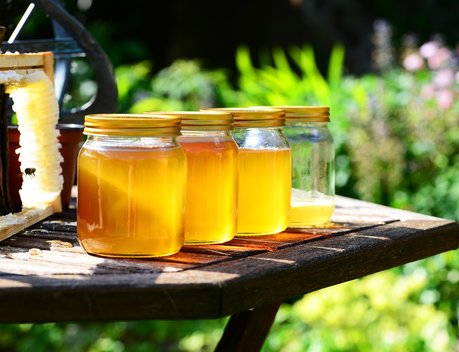 «Руспродсоюз» предупредил о возможном дефиците меда