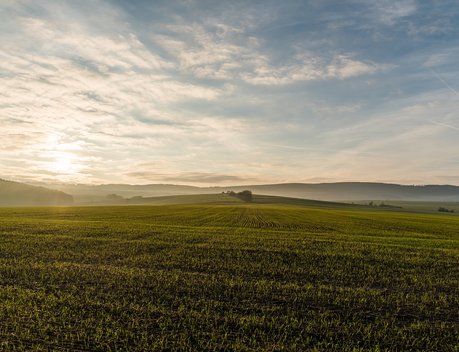 Юг России увеличил посевы озимого ячменя под урожай 2026 года