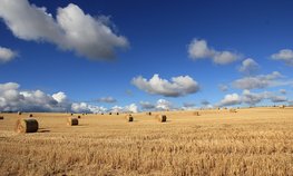 В Калининграде разработали инвестпрограмму поддержки АПК на 170 млрд рублей